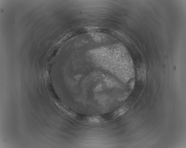 X0000077320618200611101500