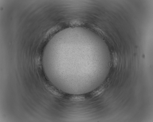 X0000077320619200611101500