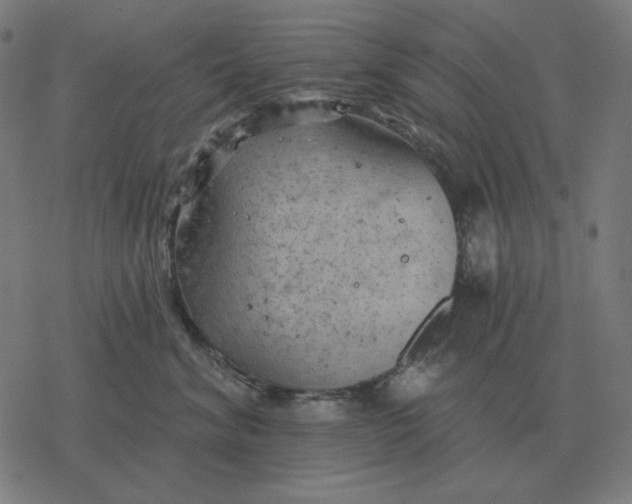 X0000077320620200611101500