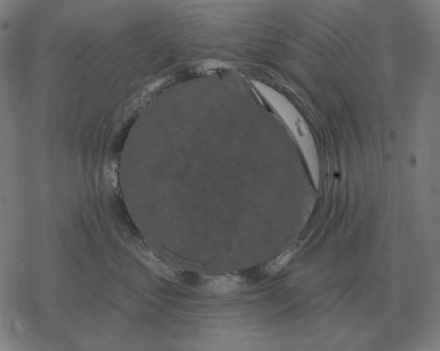 X0000077320621200611101500