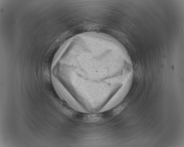 X0000077320622200611101459