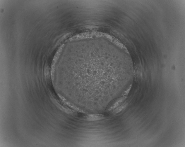 X0000077320623200611101459