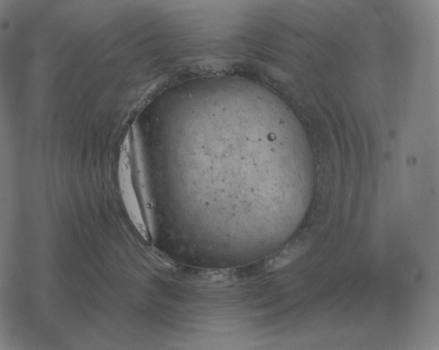 X0000077320624200611101459