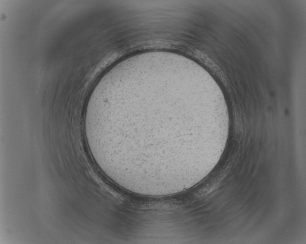 X0000077320625200611101459