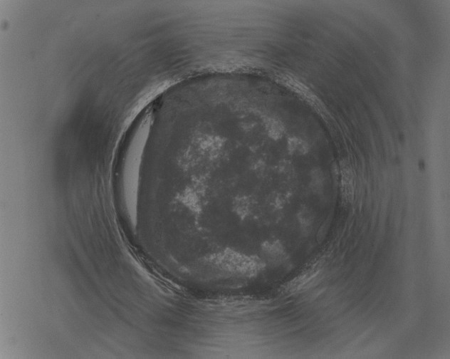 X0000077320626200611101459