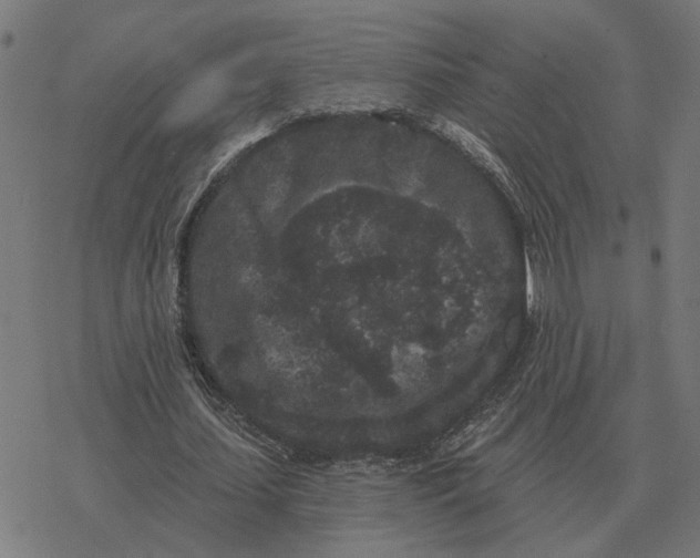 X0000077320627200611101459