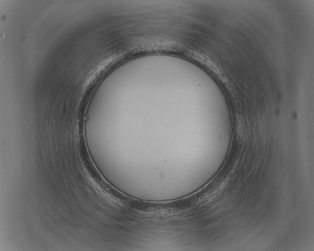 X0000077320629200611101459