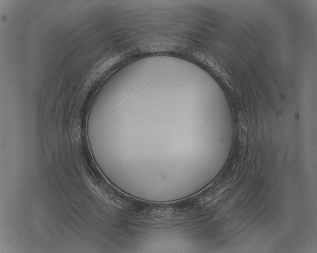 X0000077320631200611101459