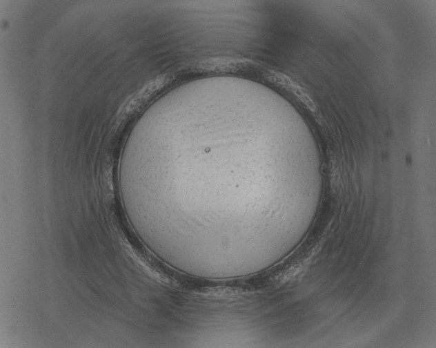 X0000077320633200611101459