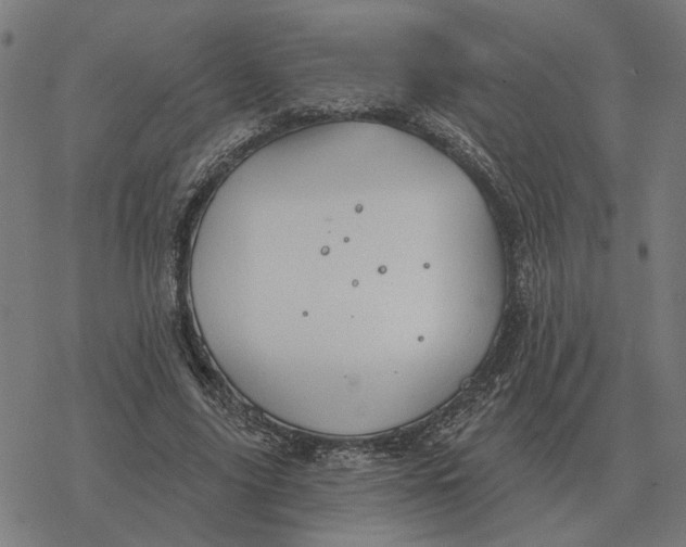 X0000077320635200611101459