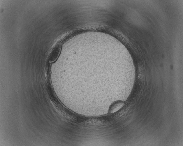 X0000077320636200611101459