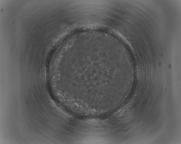 X0000077320637200611101459