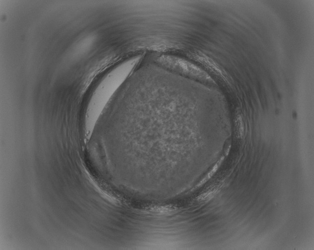 X0000077320638200611101459