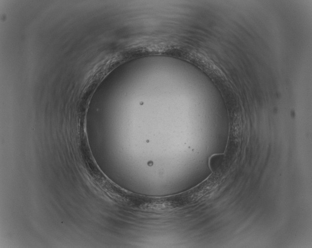 X0000077320639200611101459