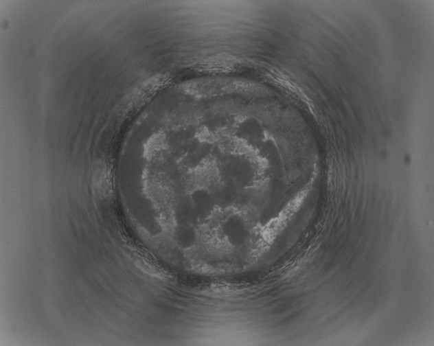 X0000077320641200611101459