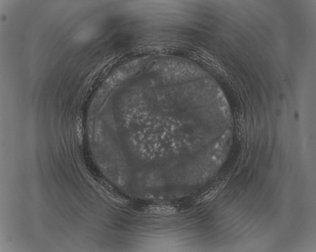 X0000077320644200611101459