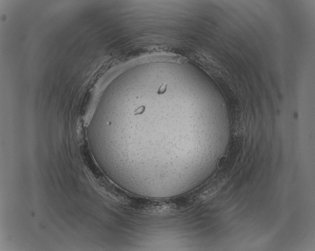 X0000077320646200611101459