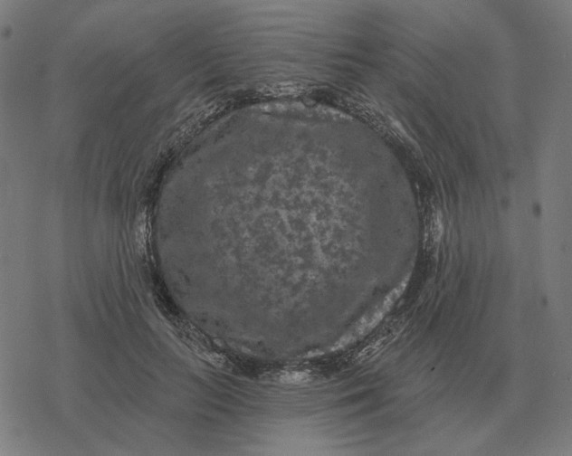 X0000077320647200611101459