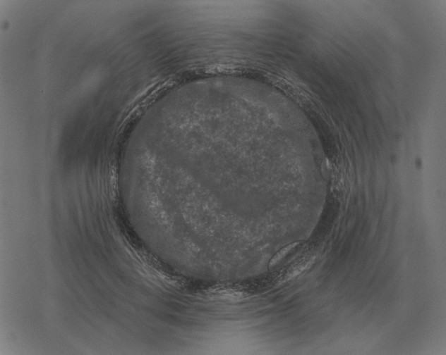 X0000077320648200611101459