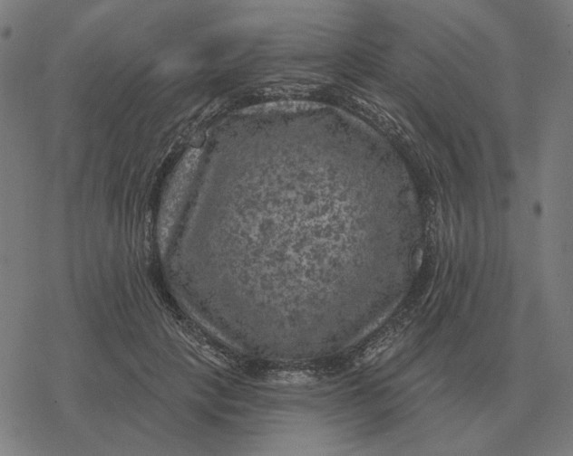 X0000077320649200611101459