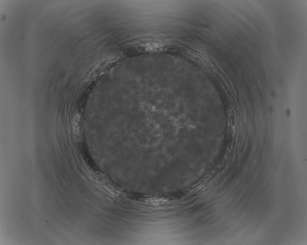 X0000077320650200611101459