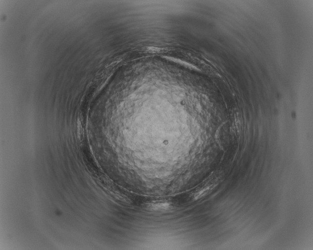 X0000077320651200611101459