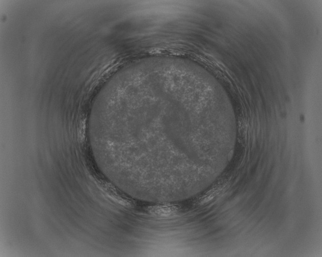 X0000077320652200611101459