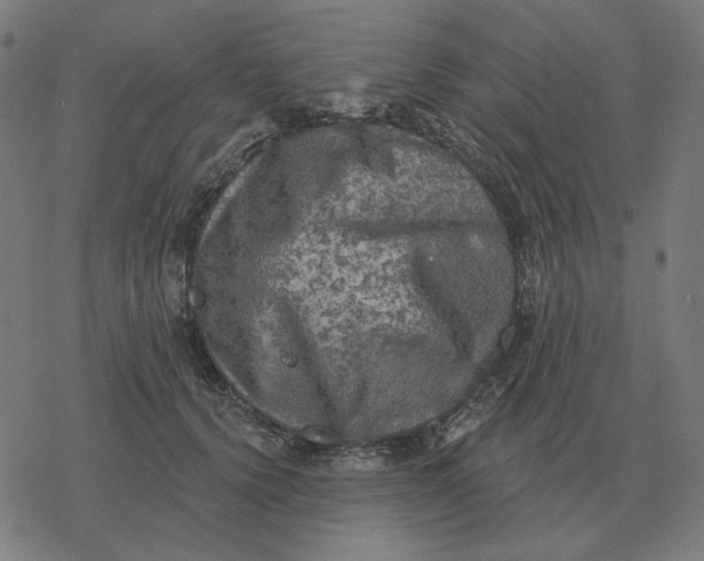 X0000077320656200611101459