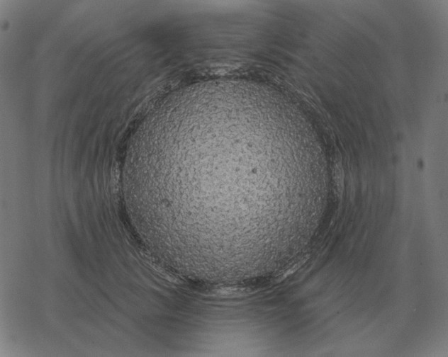 X0000077320657200611101459