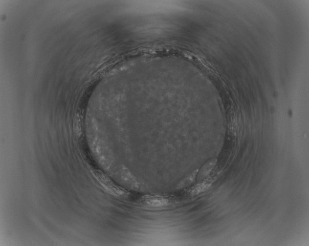 X0000077320658200611101459