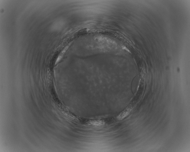 X0000077320659200611101459