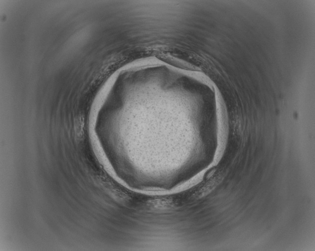 X0000077320660200611101459