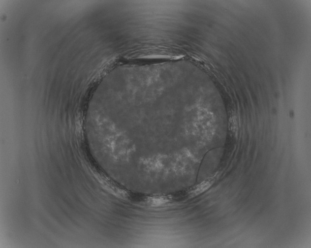 X0000077320662200611101459