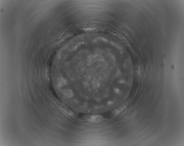 X0000077320663200611101459