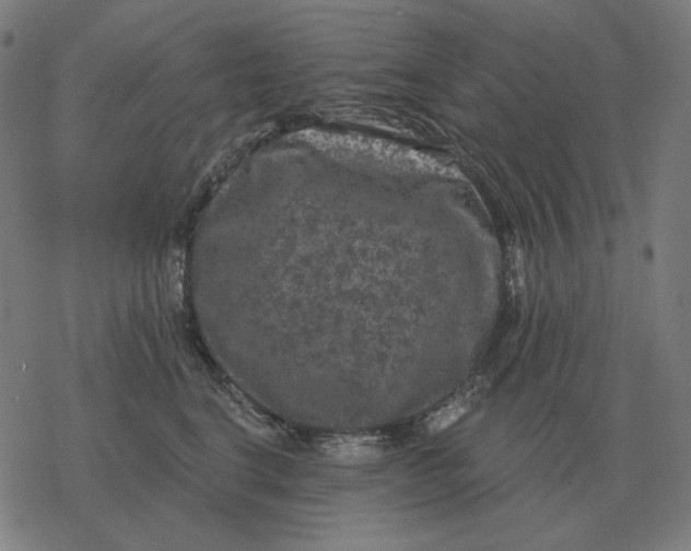 X0000077320664200611101459