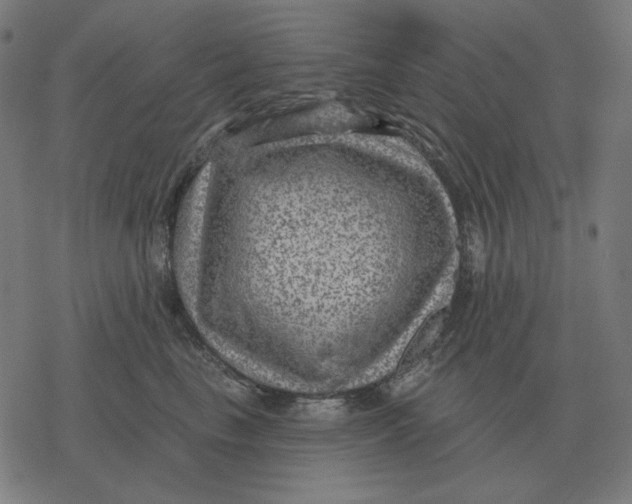 X0000077320665200611101459