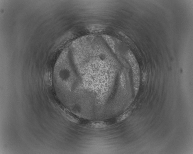 X0000077320666200611101459