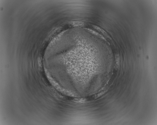 X0000077320667200611101459