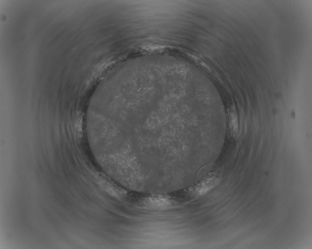 X0000077320668200611101459