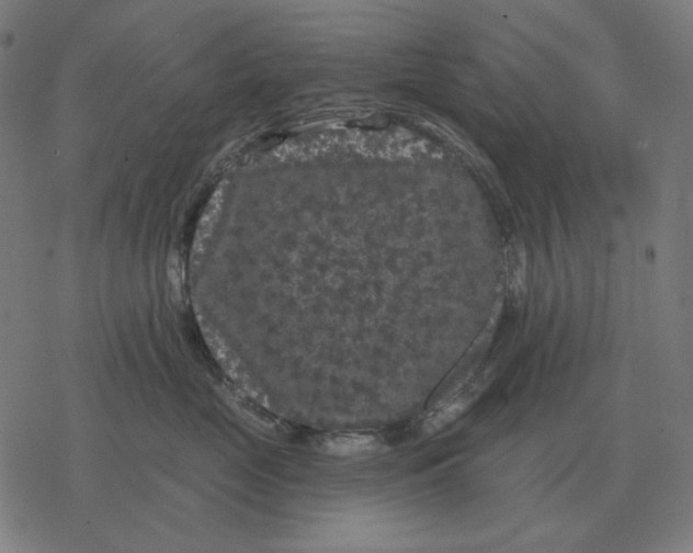 X0000077320669200611101459