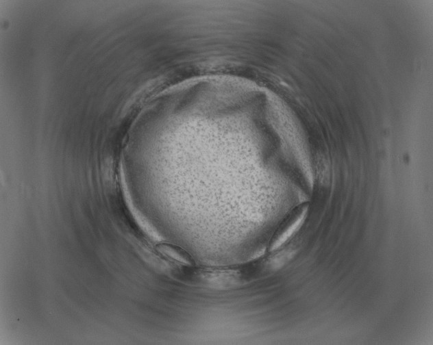 X0000077320670200611101459