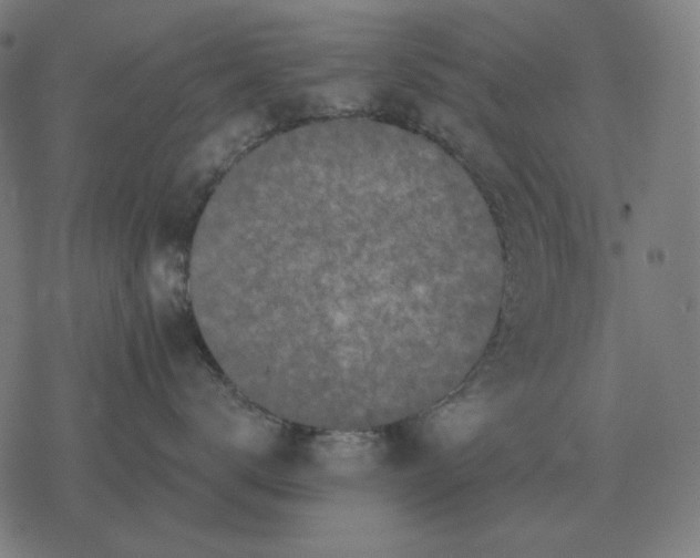 X0000077320672200611101459