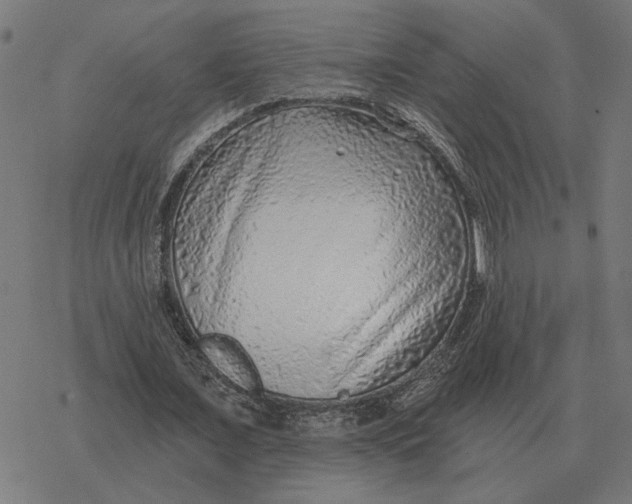 X0000077320675200611101459