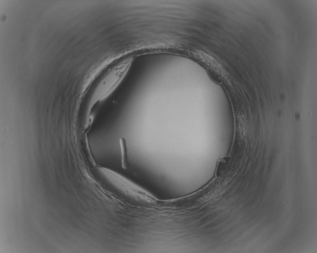 X0000077320676200611101459