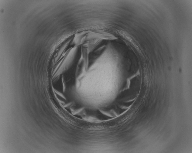 X0000077320677200611101459