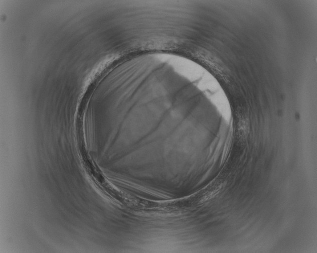 X0000077320678200611101459