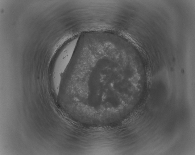 X0000077320679200611101459