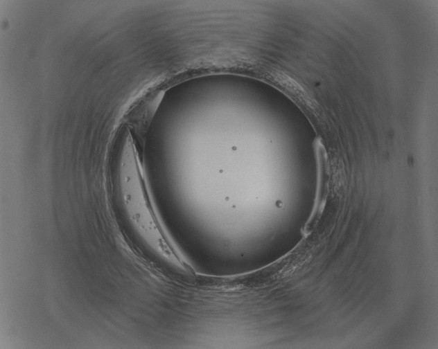 X0000077320680200611101459