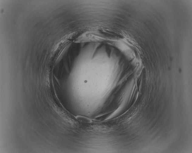 X0000077320681200611101459