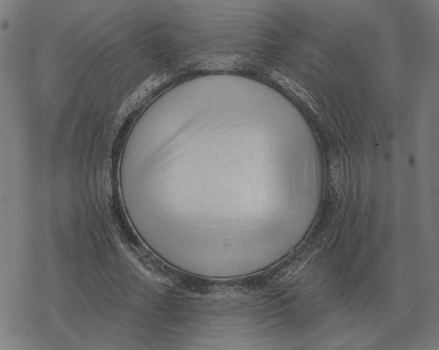 X0000077320682200611101459